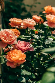 信贷小月表现平稳；社融增量超预期；政策支撑作用显著。