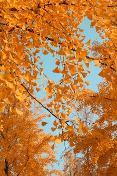 金融数据开门红，社融增量显著领先；货币环境持续宽松，实体支持力度稳固。