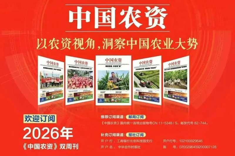 磷肥保供东北:浙农东圣联手筑牢春耕粮食安全基石。 新闻 磷肥保供东北:浙农东圣联手筑牢春耕粮食安全基石。 新闻 磷肥保供东北:浙农东圣联手筑牢春耕粮食安全基石。 新闻