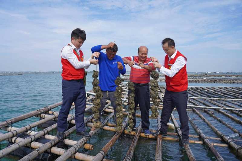  广西农商联合银行以金融之力，助力北部湾海洋经济蓬勃发展；蓝色引擎加速启动，产业活力持续释放。 新闻 广西农商联合银行以金融之力，助力北部湾海洋经济蓬勃发展；蓝色引擎加速启动，产业活力持续释放。 新闻 广西农商联合银行以金融之力，助力北部湾海洋经济蓬勃发展；蓝色引擎加速启动，产业活力持续释放。 新闻 广西农商联合银行以金融之力，助力北部湾海洋经济蓬勃发展；蓝色引擎加速启动，产业活力持续释放。 新闻