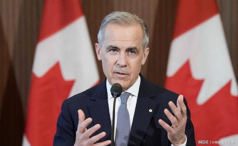 跨国贸易决策者:全球供应链避险对冲方案 企业服务