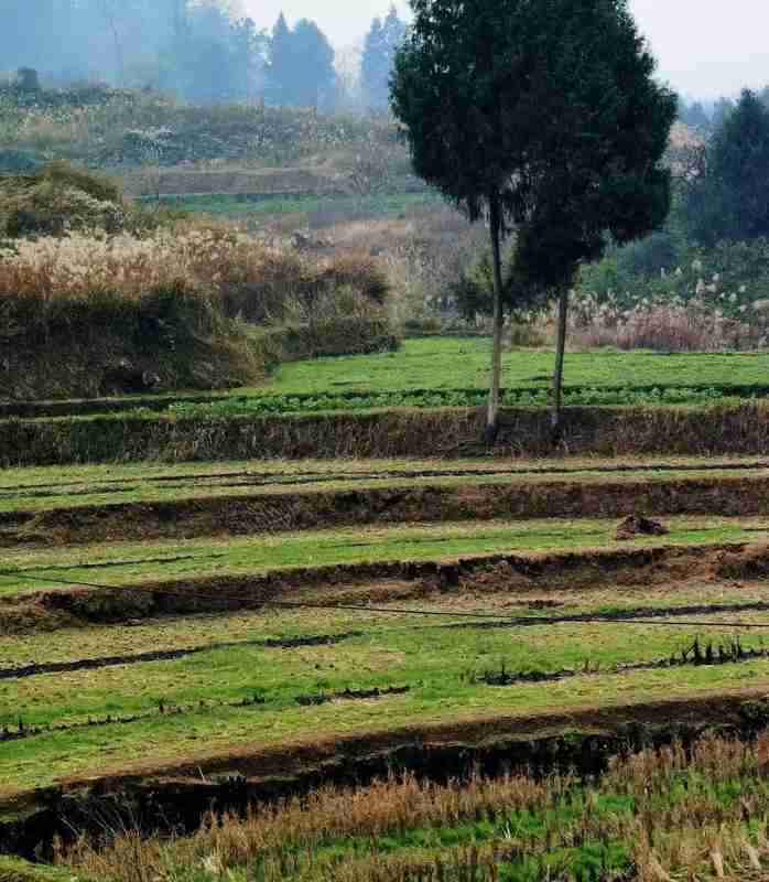 湖南民房火灾深度技术复盘:乡镇消防困局的结构性成因与系统性破局 新闻