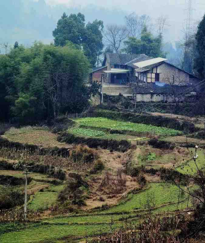 湖南民房火灾深度技术复盘:乡镇消防困局的结构性成因与系统性破局 新闻