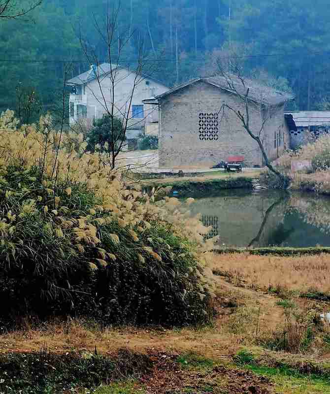 湖南民房火灾深度技术复盘:乡镇消防困局的结构性成因与系统性破局 新闻