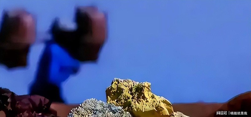 当一个邻居突然热情敲门:越南如何在两个大国之间走钢丝 新闻 当一个邻居突然热情敲门:越南如何在两个大国之间走钢丝 新闻