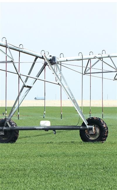  黄沙地里的绿色希望：一个农人团队的麦田逆袭之路 文化旅游