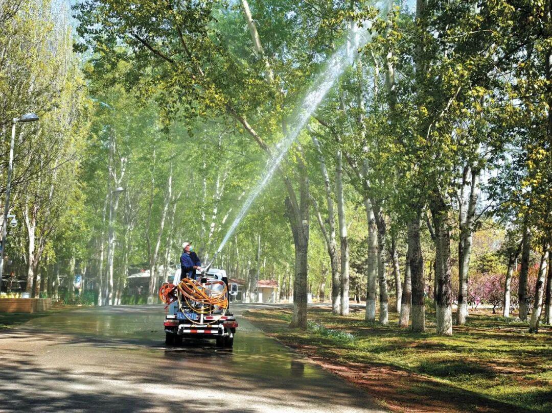 【技术解码】北京杨柳飞絮治理：这套「科技组合拳」如何实现精准狙击 新闻
