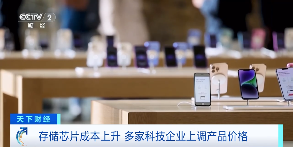  从“存储末日”到技术博弈：一位从业者的深度复盘与应对策略 IT技术