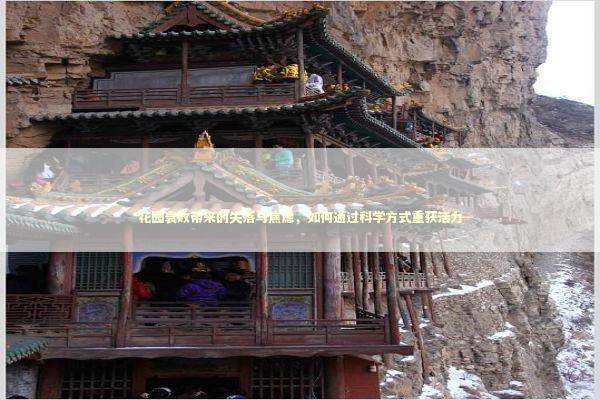 花园衰败带来的失落与焦虑，如何通过科学方式重获活力