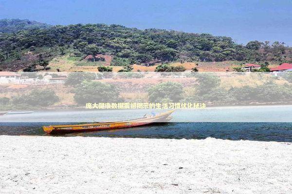 庞大健康数据震撼揭示的生活习惯优化秘诀