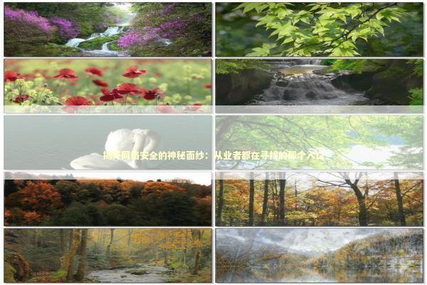 揭开网络安全的神秘面纱：从业者都在寻找的那个入口