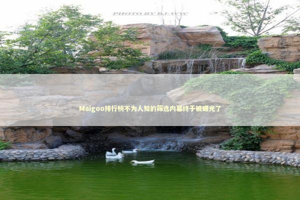 Maigoo排行榜不为人知的筛选内幕终于被曝光了
