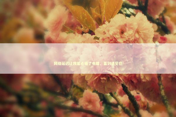 网络延迟让我差点砸了电脑，直到遇见它